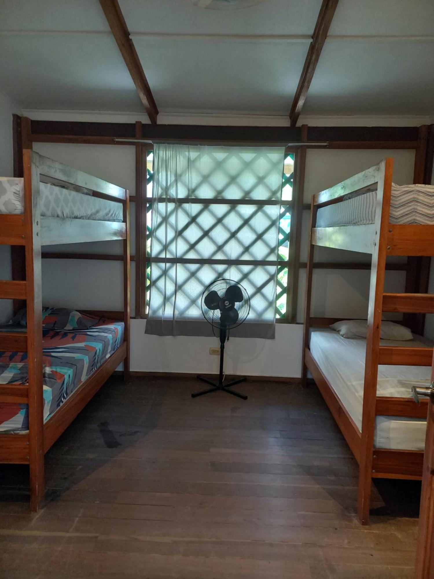 Pagalu Hostel Puerto Viejo de Talamanca المظهر الخارجي الصورة